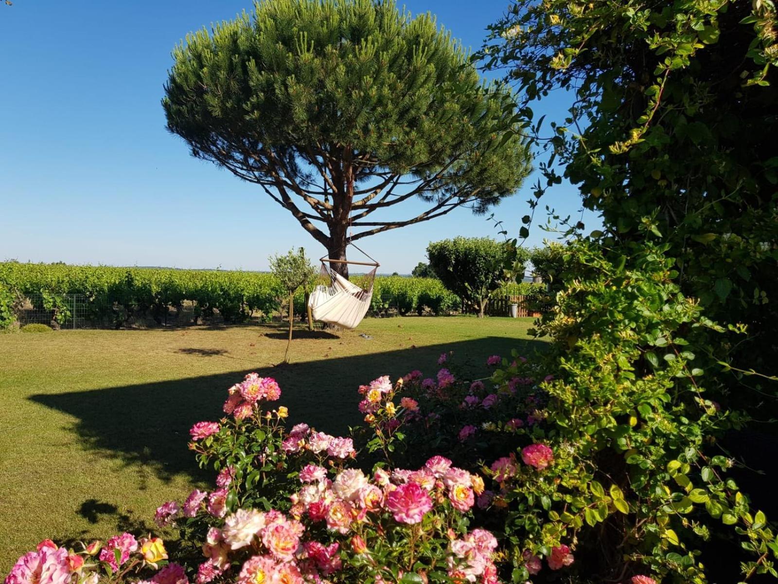 Entre Loire Et Vignobles Bed & Breakfast Liré Екстериор снимка